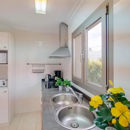 Yourhouse Roses 9